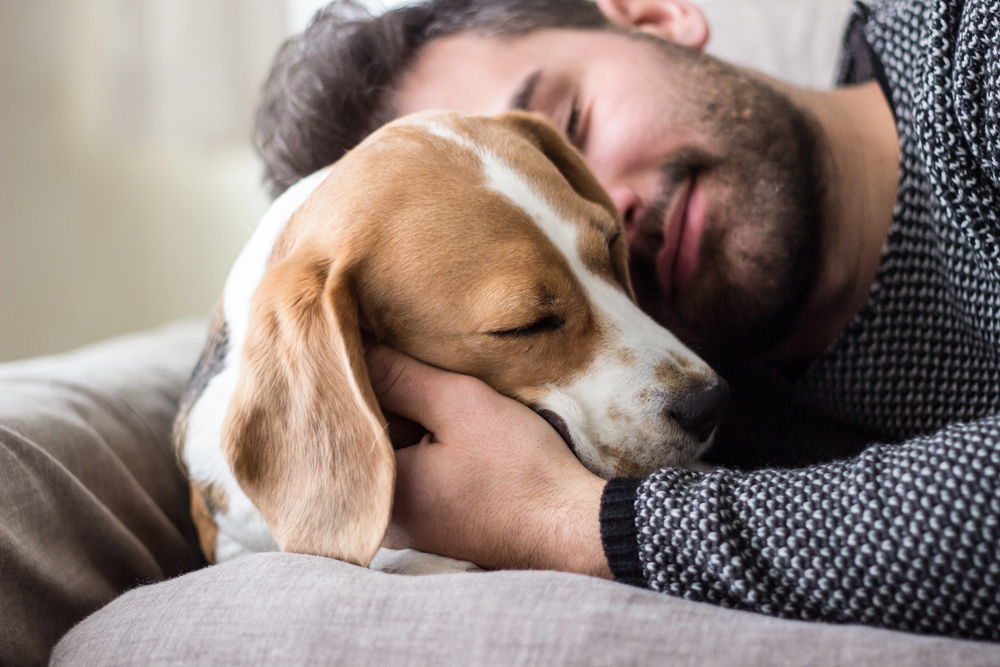 6 Tips on adopting the best dog for your lifestyle
