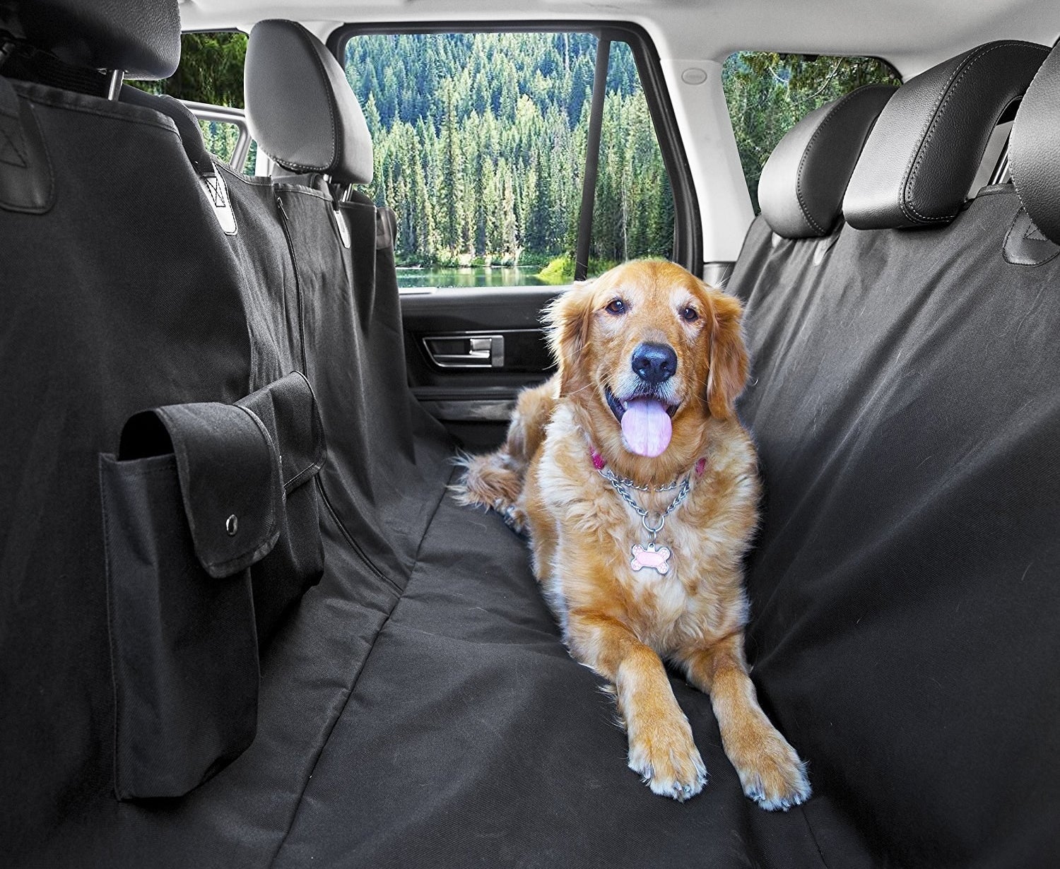 How dog owners can keep their car clean