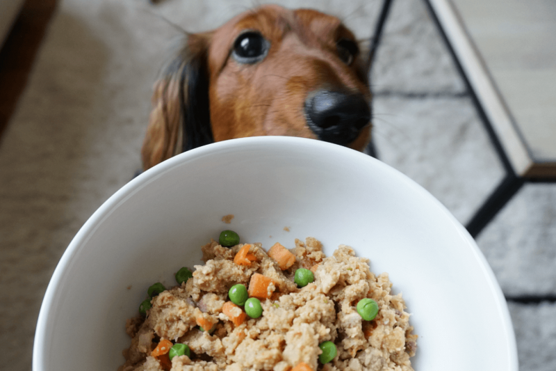 Viewpoint: 'All natural' pet food is no better for Fido, and it's terrible  for the environment | Genetic Literacy Project