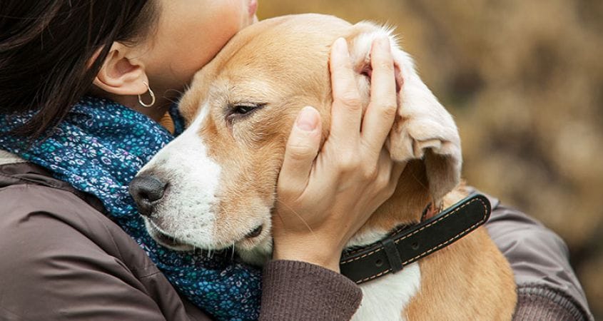Why Grieving for a Dog is So Hard | Cesar's Way