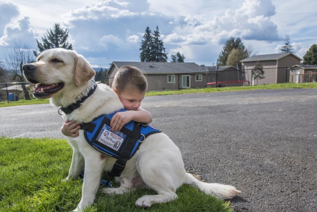Essential Things You Should Know About Diabetic Service Dogs