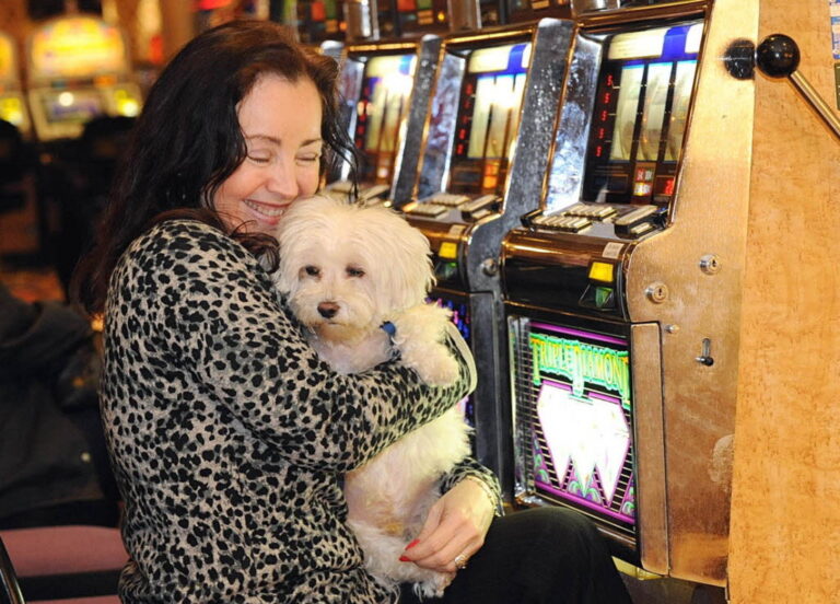 Are There PetFriendly Casinos in the US?