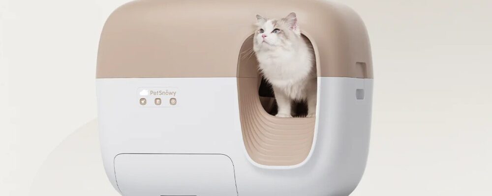Are Self-Cleaning Cat Litter Boxes Worth It?
