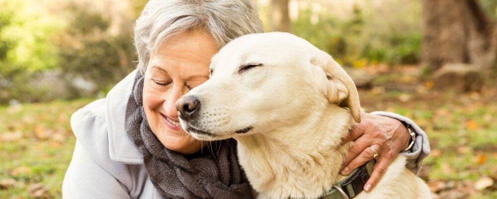 Why Many Seniors Feel Mentally Stronger With a Pet Around