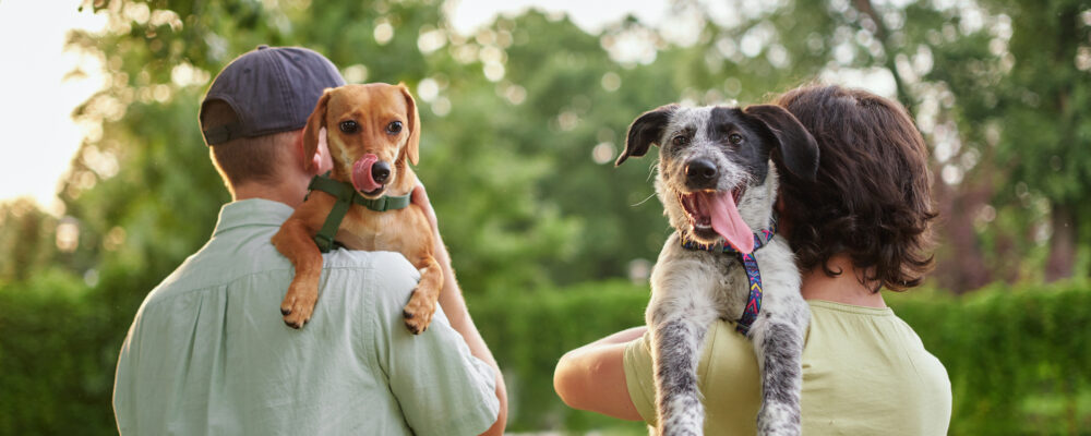 Pet Life Animal Fund: Supporting Veterinary Care And Adoption Efforts in Manitoba